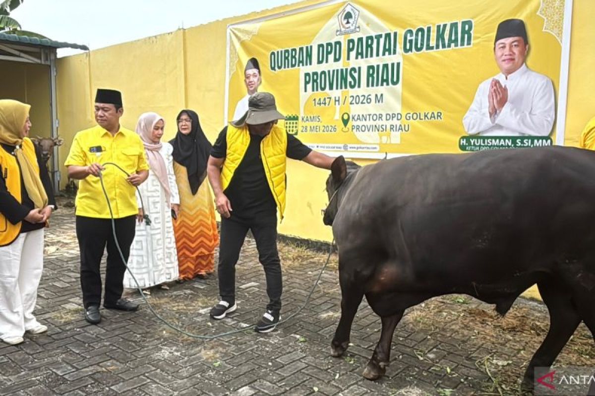 Golkar Riau bagikan ribuan paket hewan kurban
