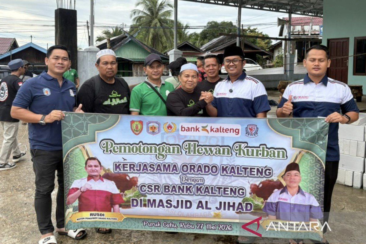 Orado Murung Raya gandeng pengurus Masjid Al-Jihad bagikan hewan kurban