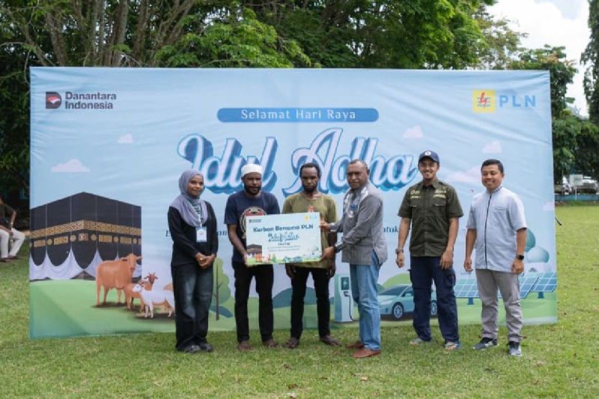 PLN salurkan 23 hewan kurban bagi 1.540 warga di Tanah Papua