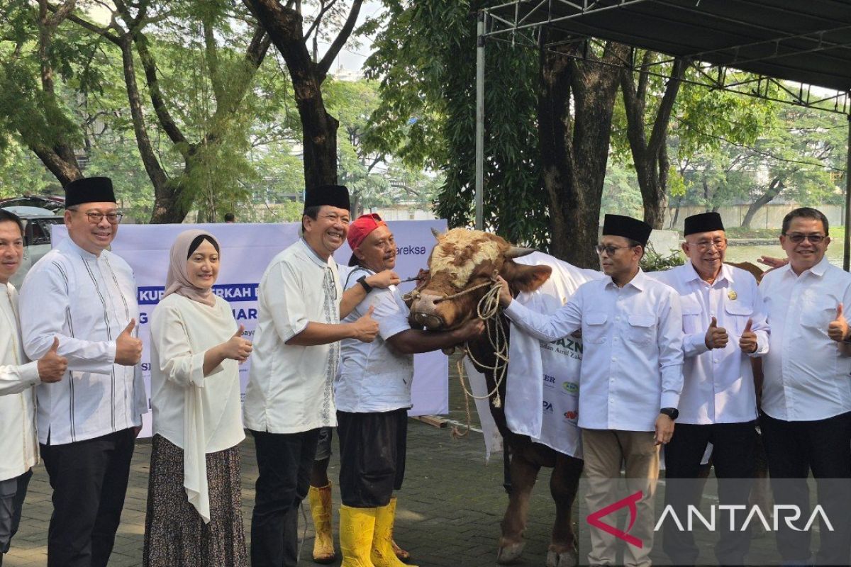 Danareksa-Baznas bagikan 3.000 paket daging kurban ke warga Surabaya