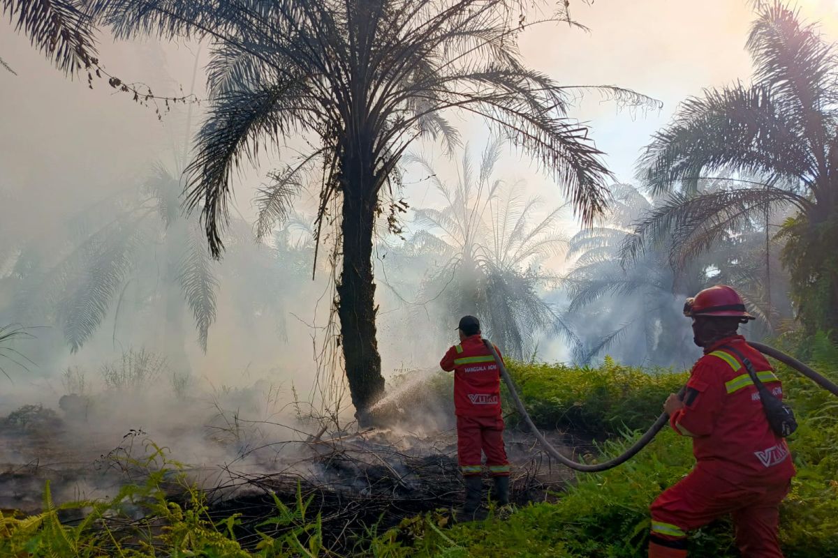 Manggala Agni berjibaku padamkan karhutla 20 hektare di Siak Riau