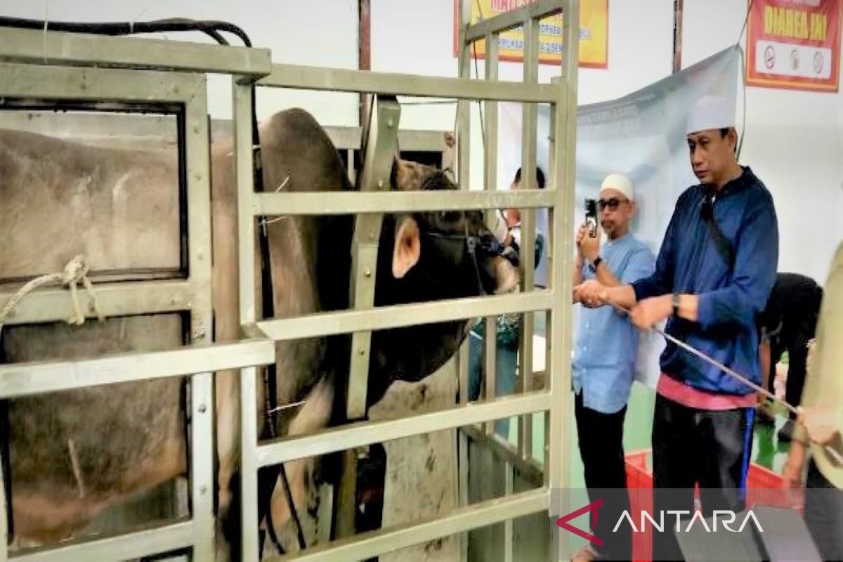 Pemkab Barito Utara gratiskan penyembelihan hewan kurban di RPH Muara Teweh