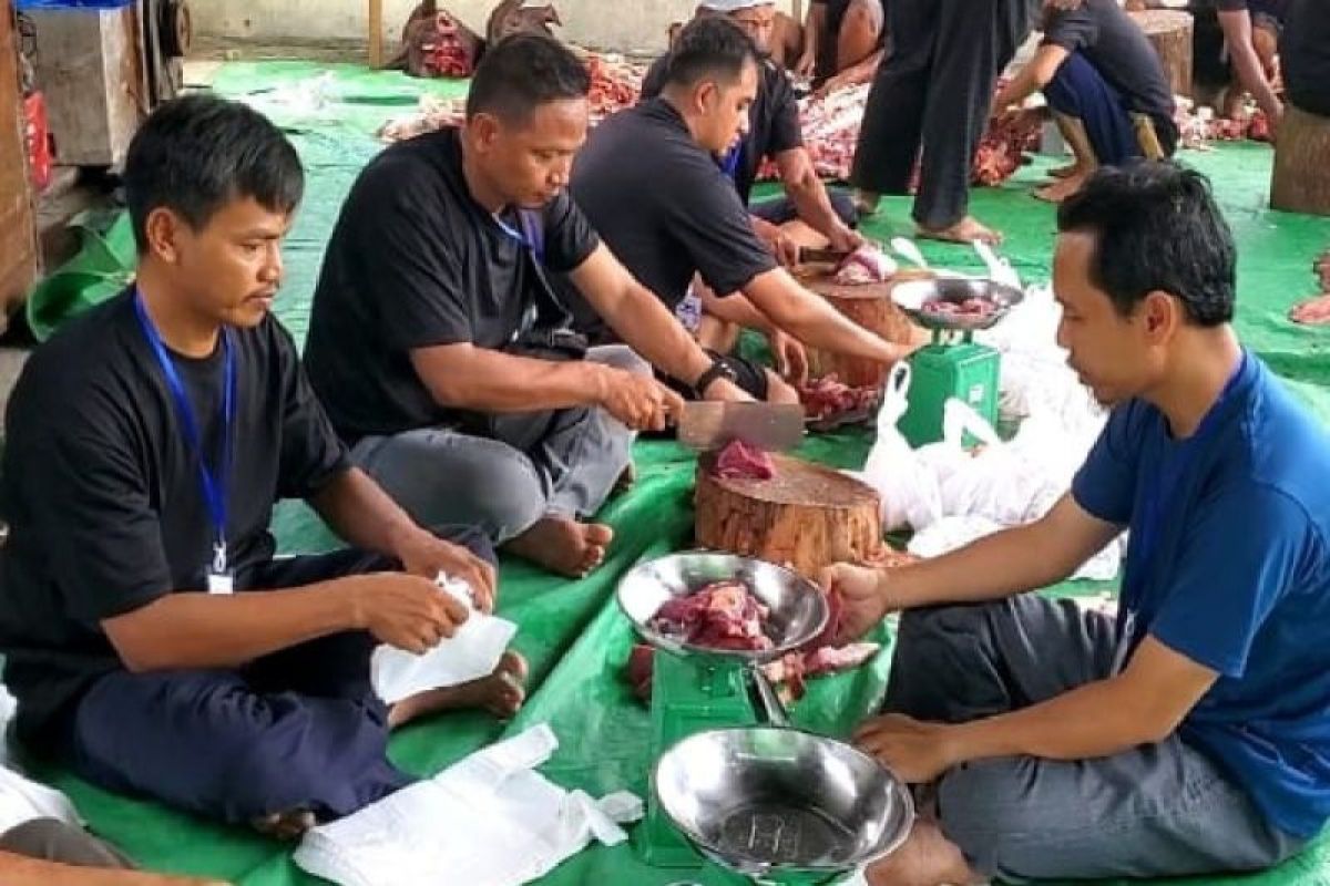 DPKP Kotim tegaskan hasil pemeriksaan daging kurban aman dikonsumsi