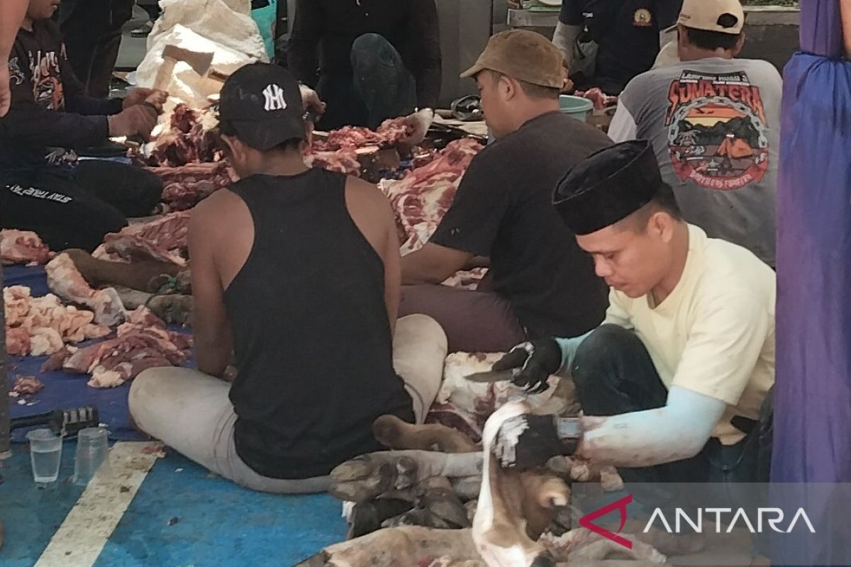Kejati Sumsel bagikan 1.000 paket daging kurban