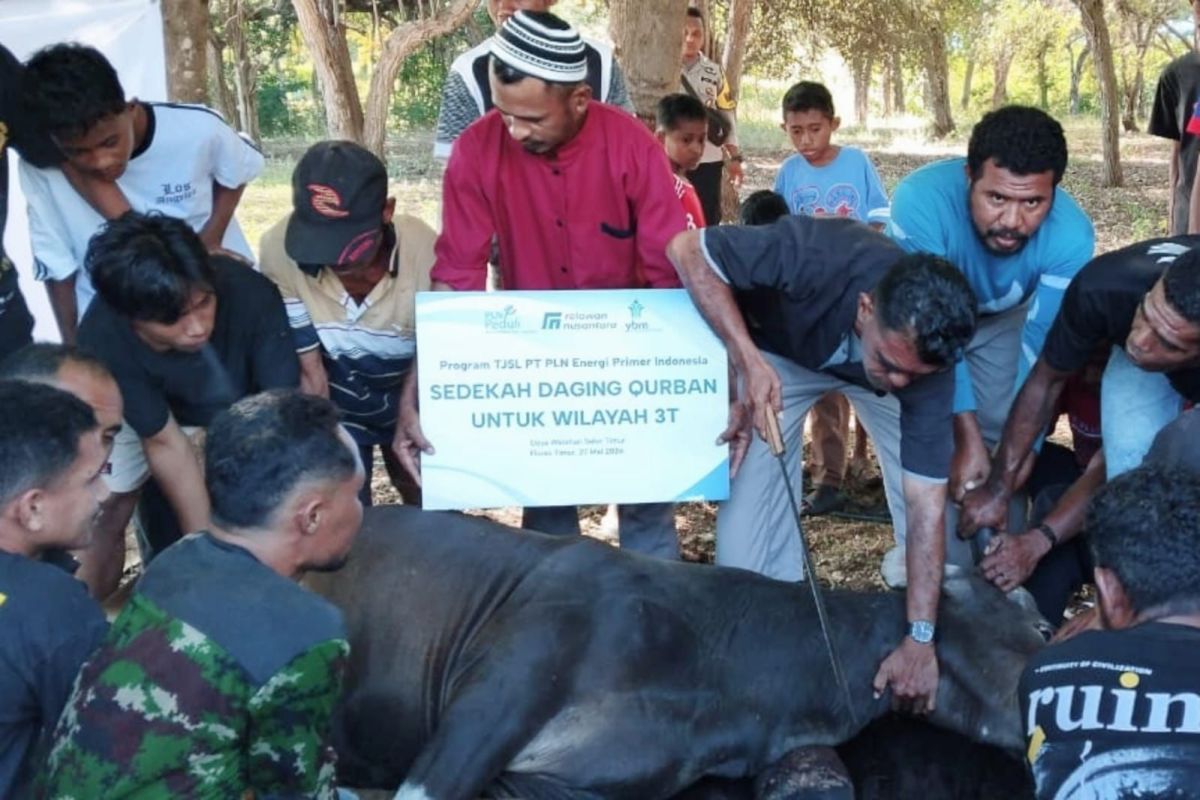 PLN EPI salurkan daging kurban ke wilayah 3T Maluku dan NTT