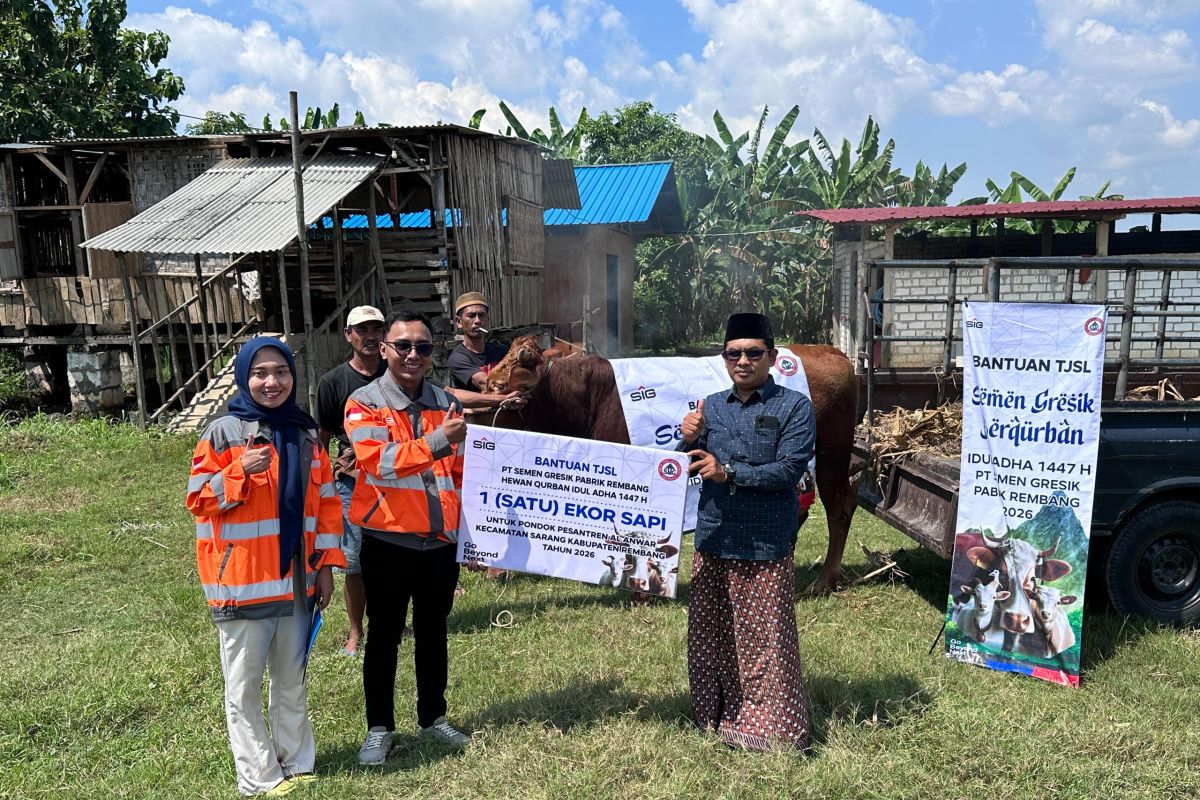Semen Gresik kurban 12 ekor sapi dan 4 ekor kambing ke Rembang dan Blora