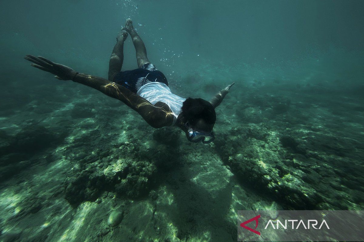 Menikmati pesona Pulau Labengki dengan terumbu karang dan laguna biru