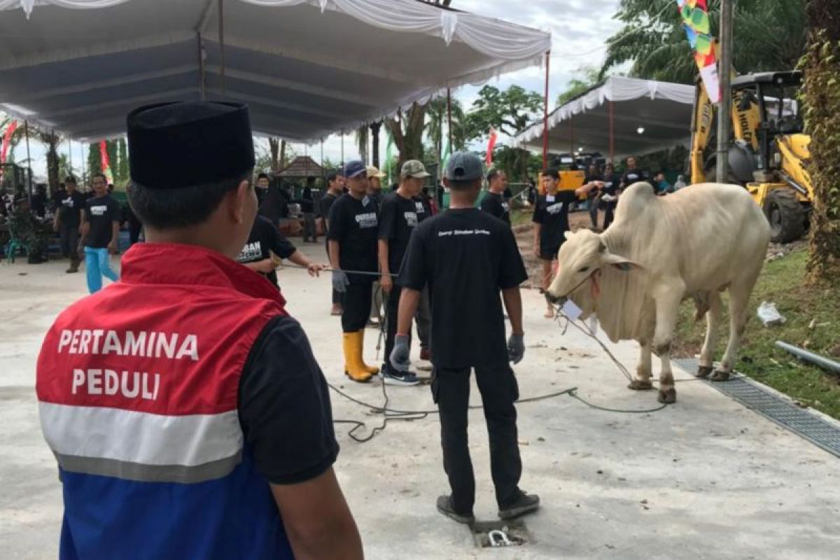 Rayakan Idul Adha 1447 Hijriah, Pertamina EP Zona 4 tebar semangat berbagi di wilayah operasi
