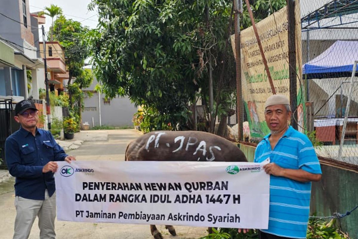 Askrindo Syariah salurkan 39 hewan kurban pada Idul Adha 1447 H