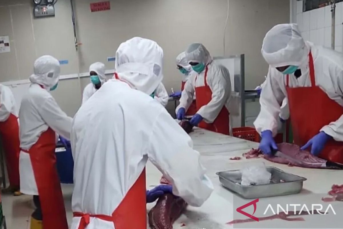 BKHIT Maluku awasi kualitas produk tuna Maluku untuk daya saing ekspor