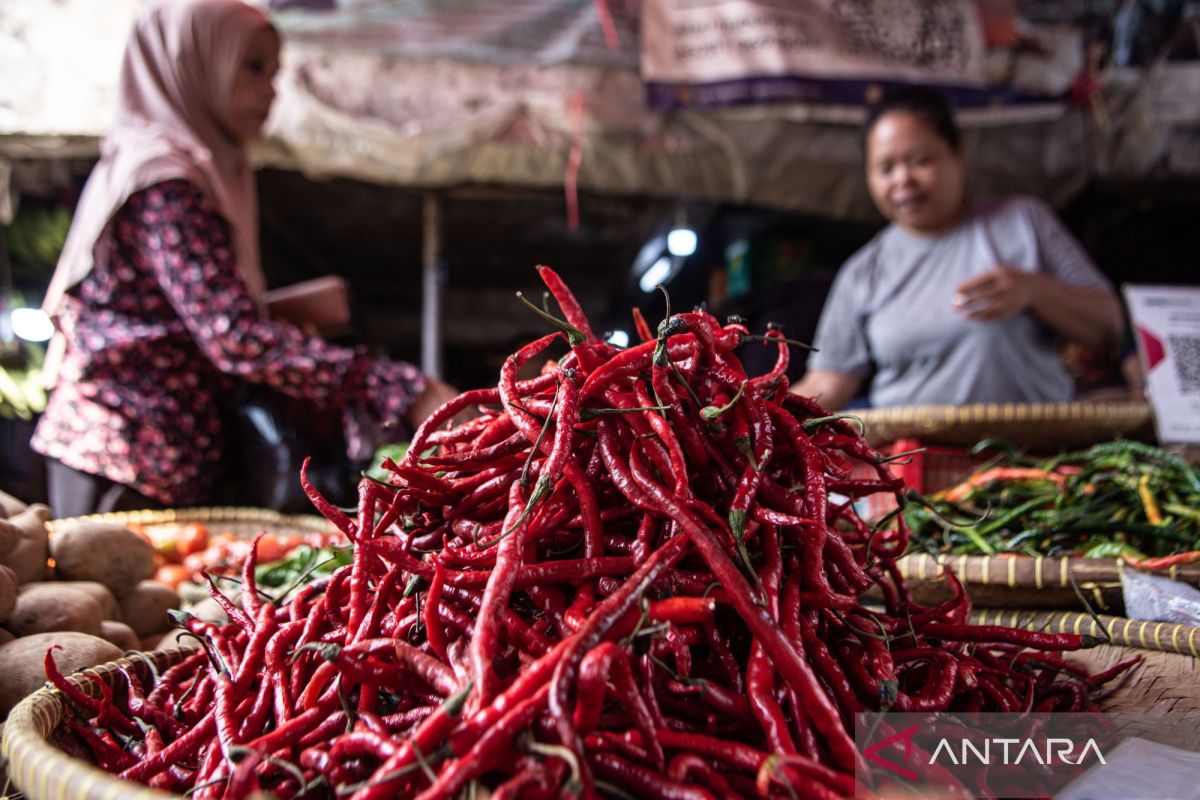 BI: Inflasi Mei 2026 terjaga berkat kebijakan dan sinergi