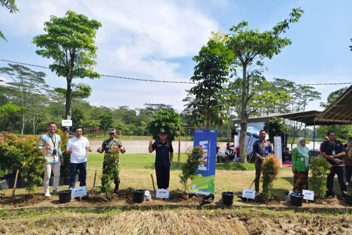 PT Permodalan Nasional Madani menanam 500 pohon di Temanggung
