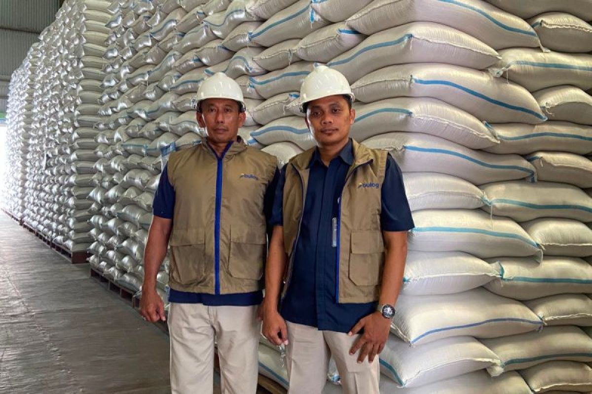 BULOG tembus 3 juta ton serapan gabah-beras petani