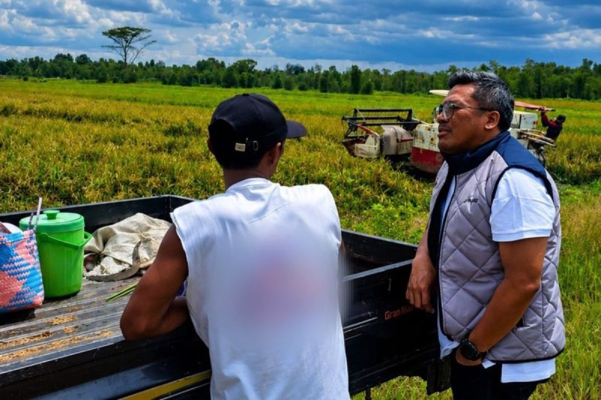 Bulog Kalteng optimalkan penyerapan dukung capaian nasional 3 juta ton setara beras