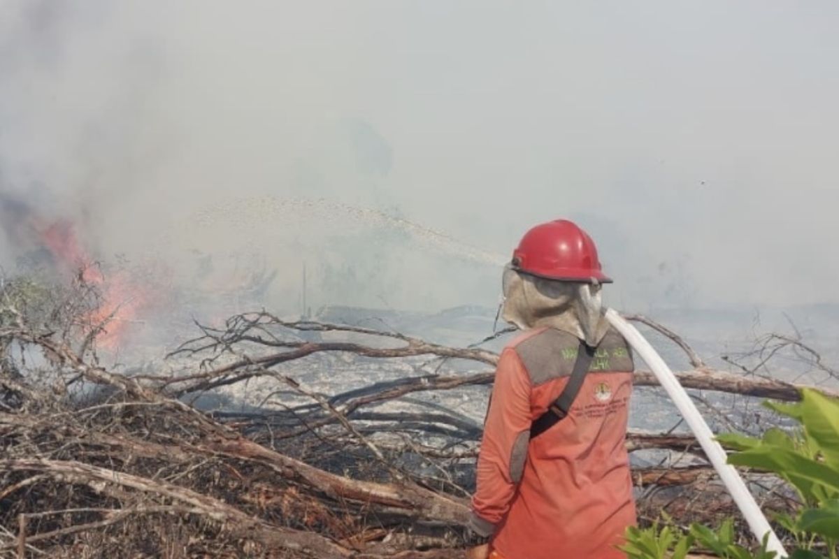 Indonesia Tingkatkan Upaya Lawan Kebakaran Hutan di Sumatera