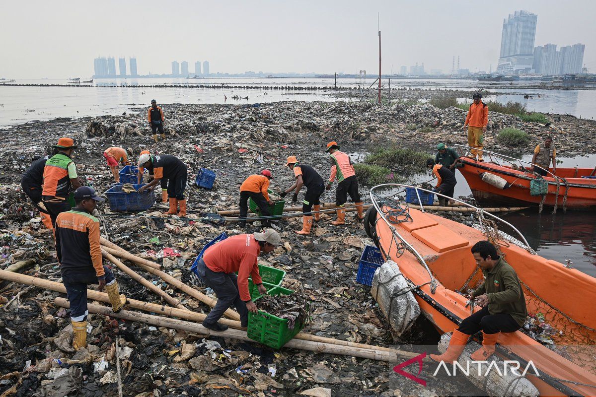 Petugas angkut sampah di perairan Jakarta untuk jaga ekosistem laut