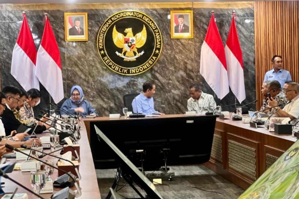 Pemprov Papua Selatan-Kemenko Pangan bahas percepatan pembangunan KSPEAN