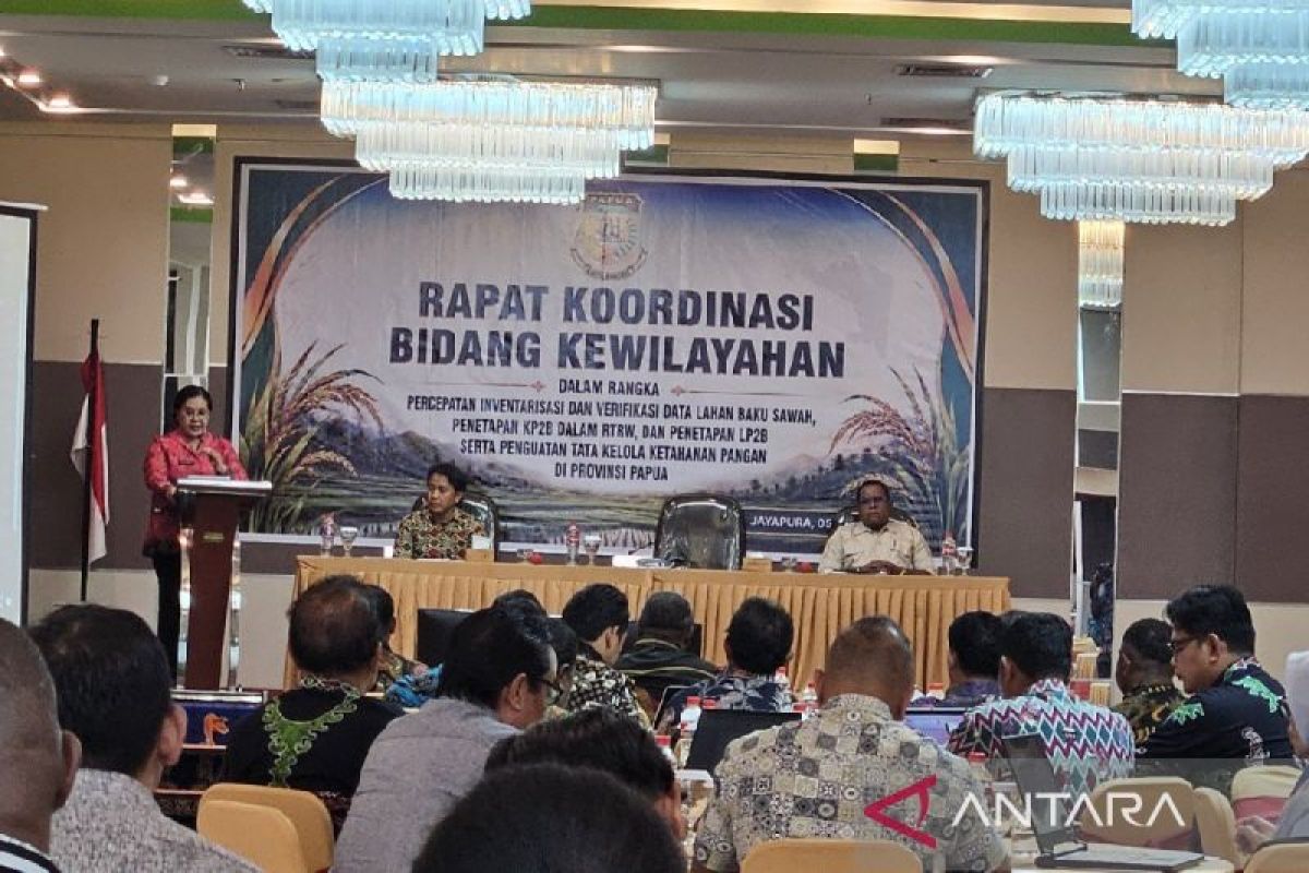 Pemprov Papua dorong percepatan penetapan KP2B dan LP2B di kabupaten/kota
