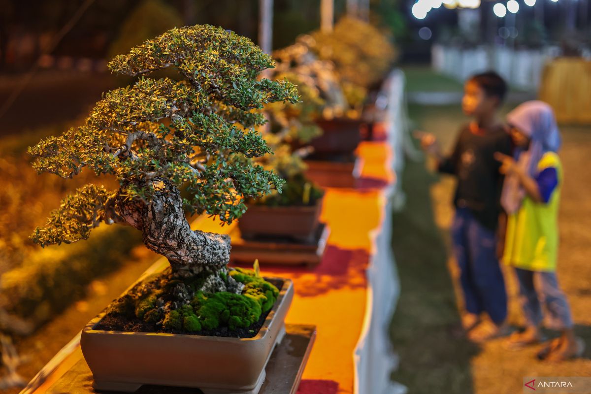 Pameran Grebeg Bonsai Bumi Reog 2026