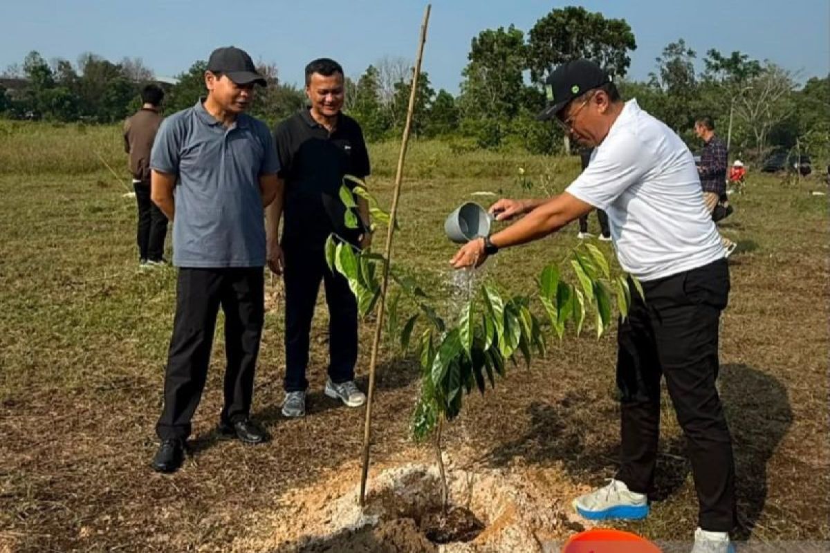 Tebar Keberkahan Bagi Alam, BRK Syariah Ikut Tanam Pohon di Kawasan Stadion Utama Riau