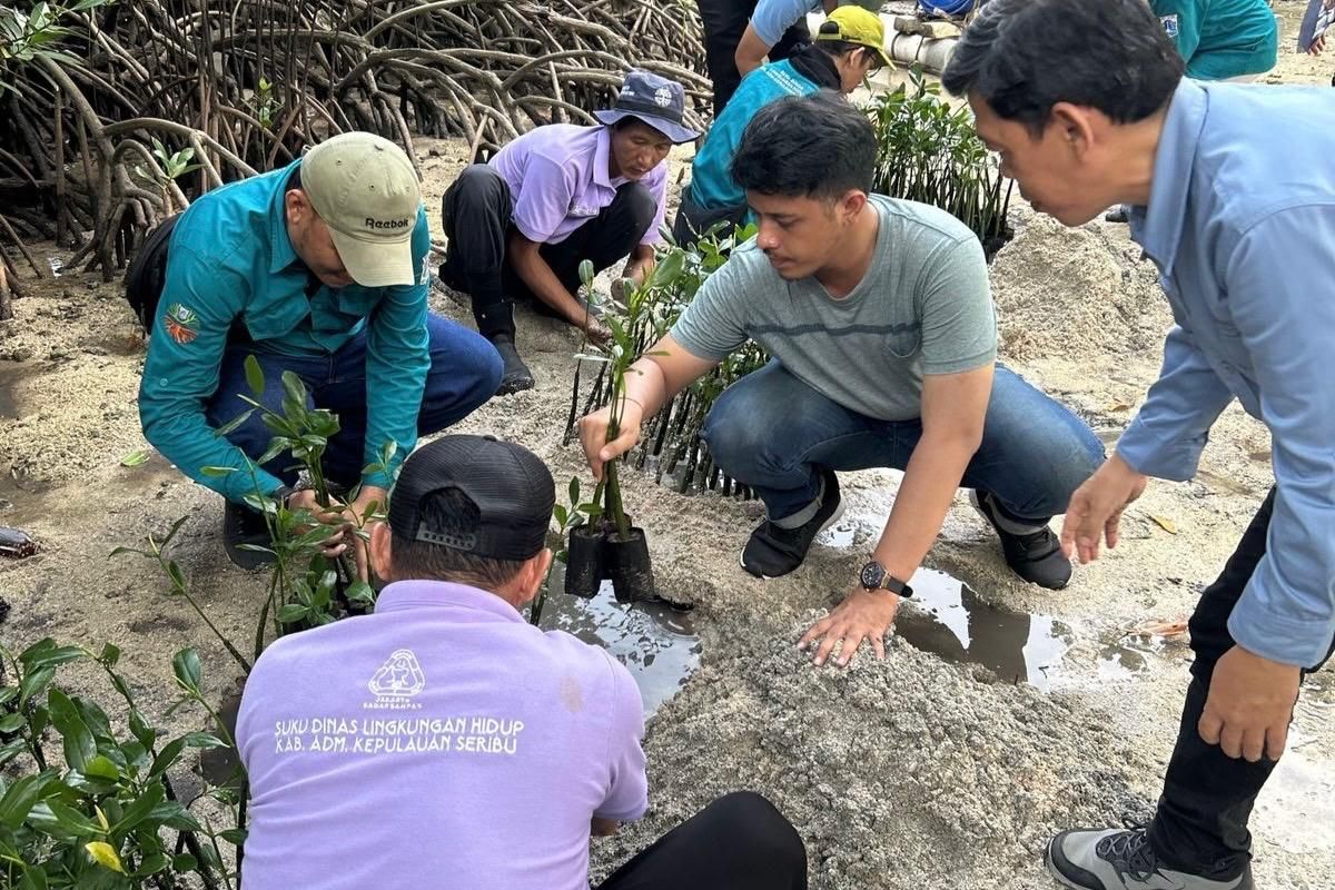Pemkab tanam mangrove dan lepas tukik pada Hari Lingkungan Hidup