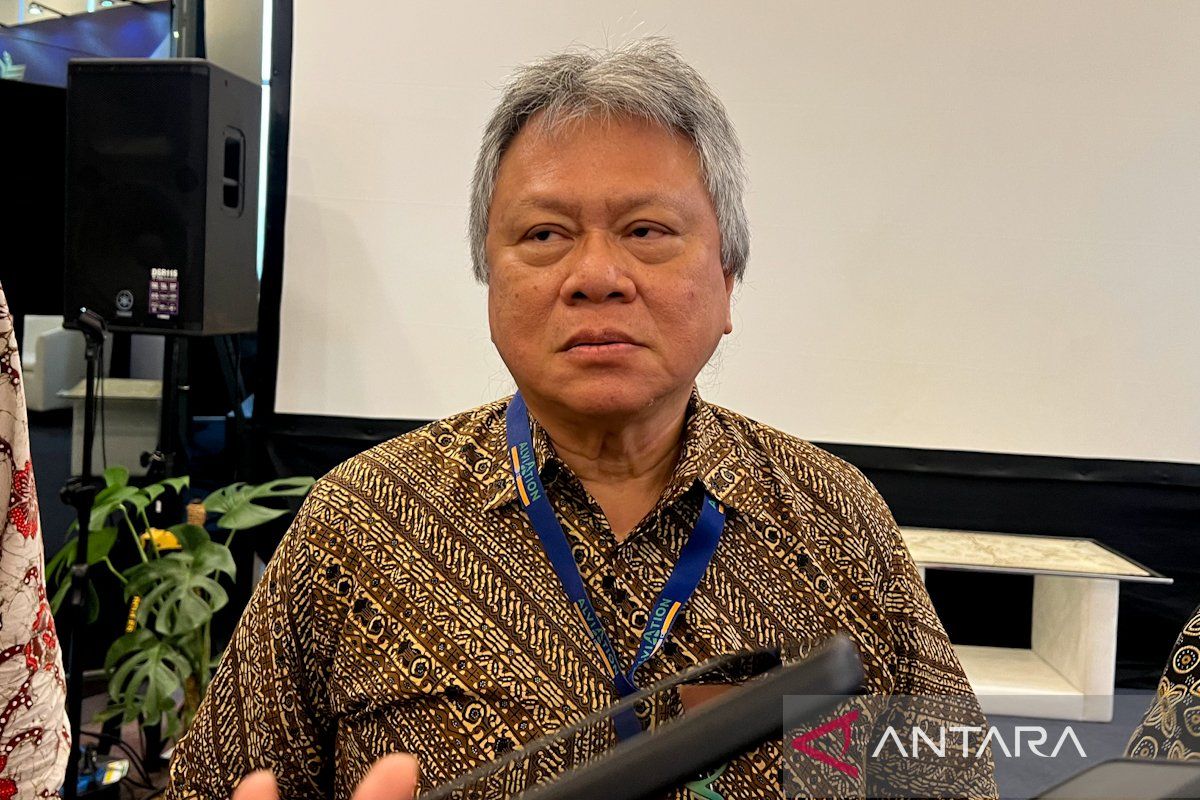 Pengamat: Revisi TBA tiket pesawat tepat demi operasional penerbangan