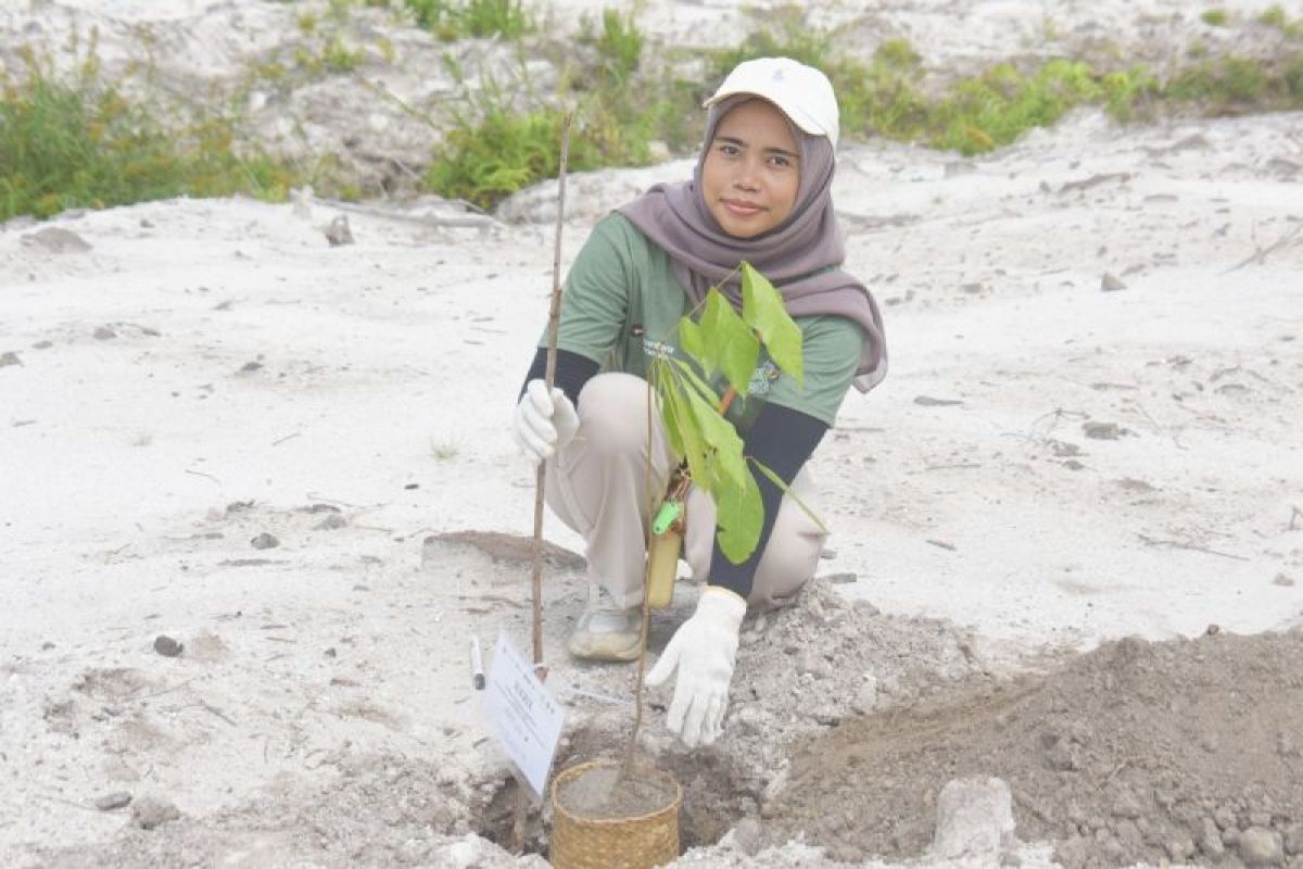 Srikandi PLN UPP KLB 3 dukung pelestarian habitat orang utan