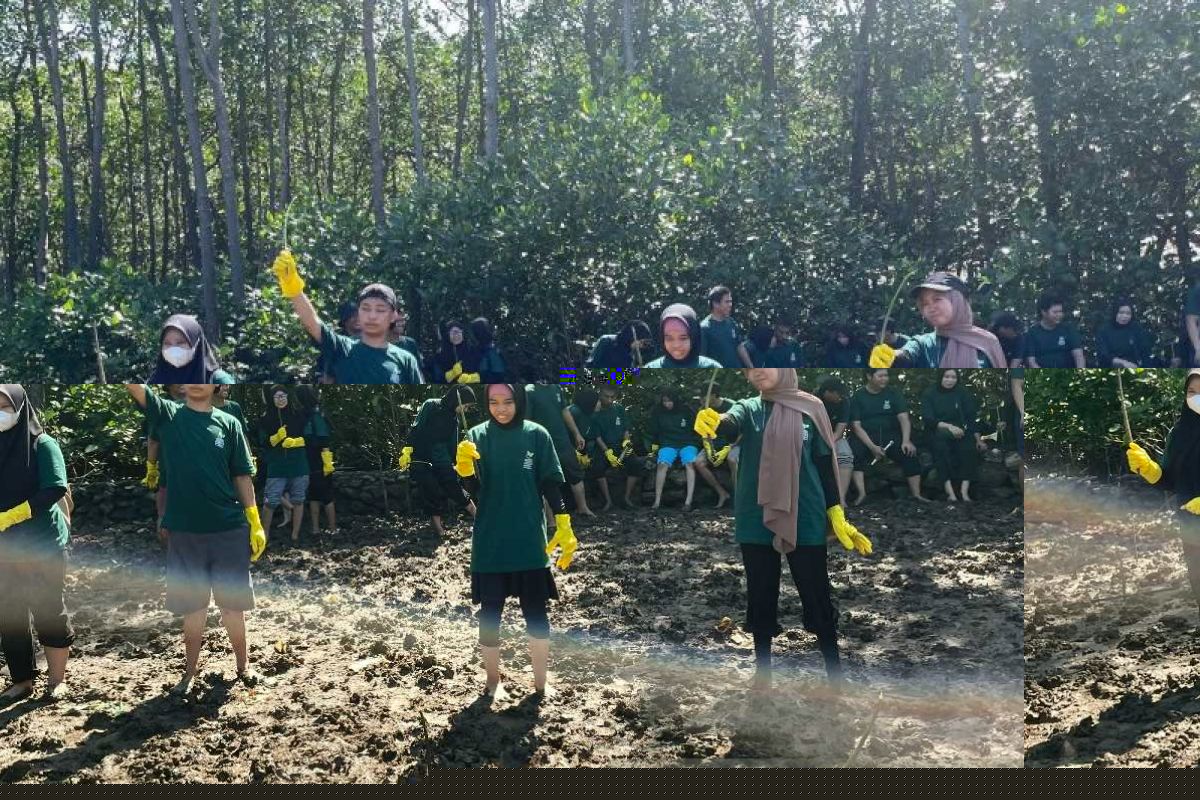 HLH 2026, 50 difabel netra ikuti penanaman mangrove