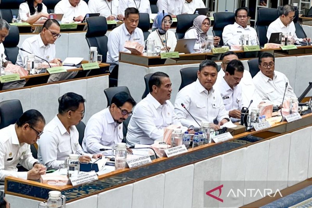 Bapanas usul tambahan anggaran Rp17,73 T perkuat stabilitas pangan