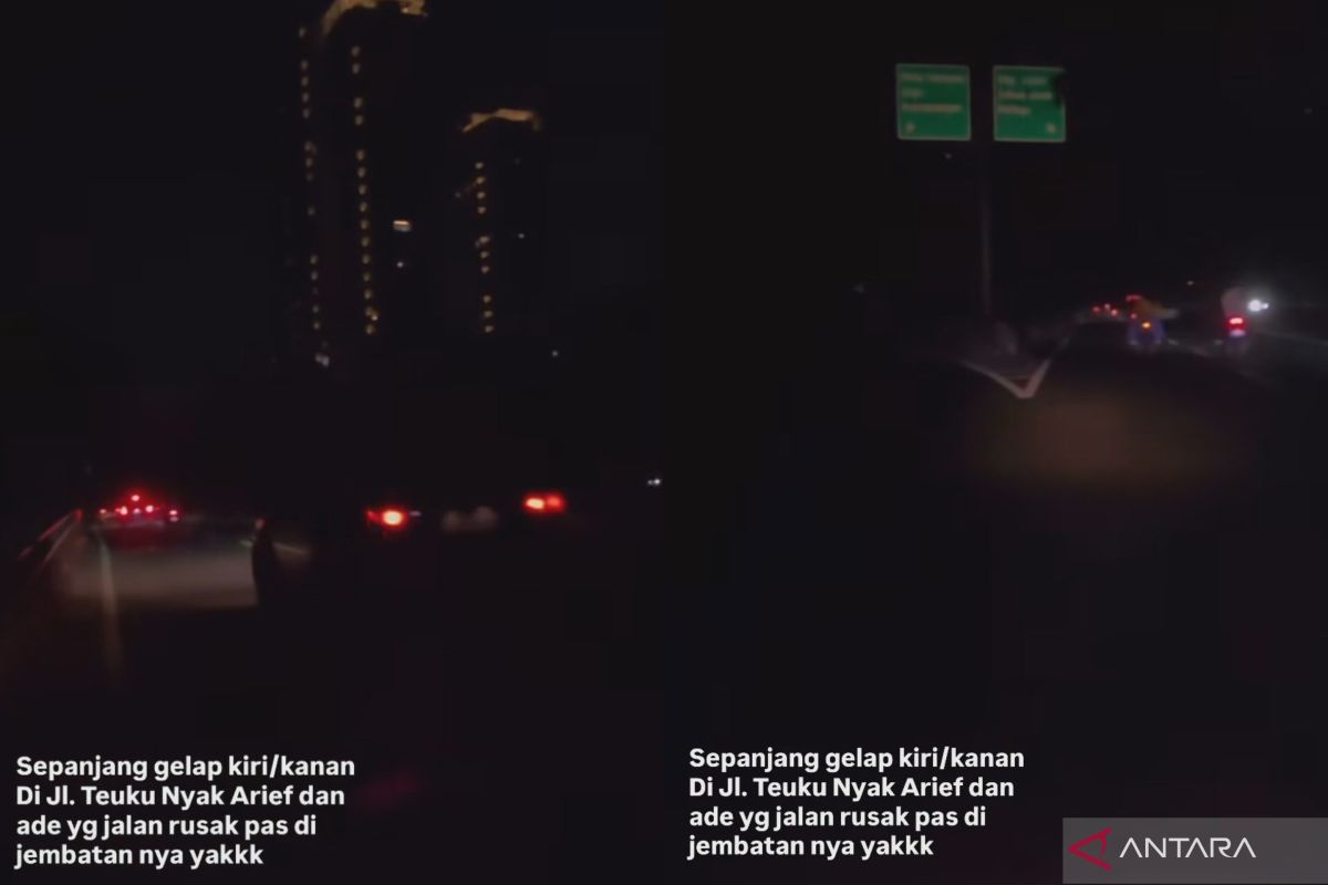 Pelaku vandalisme diduga gunakan pohon untuk rusak 25 lampu PJU Jaksel