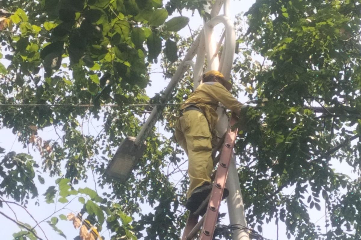 Perbaikan lampu PJU di Jaksel ditargetkan rampung pekan ini