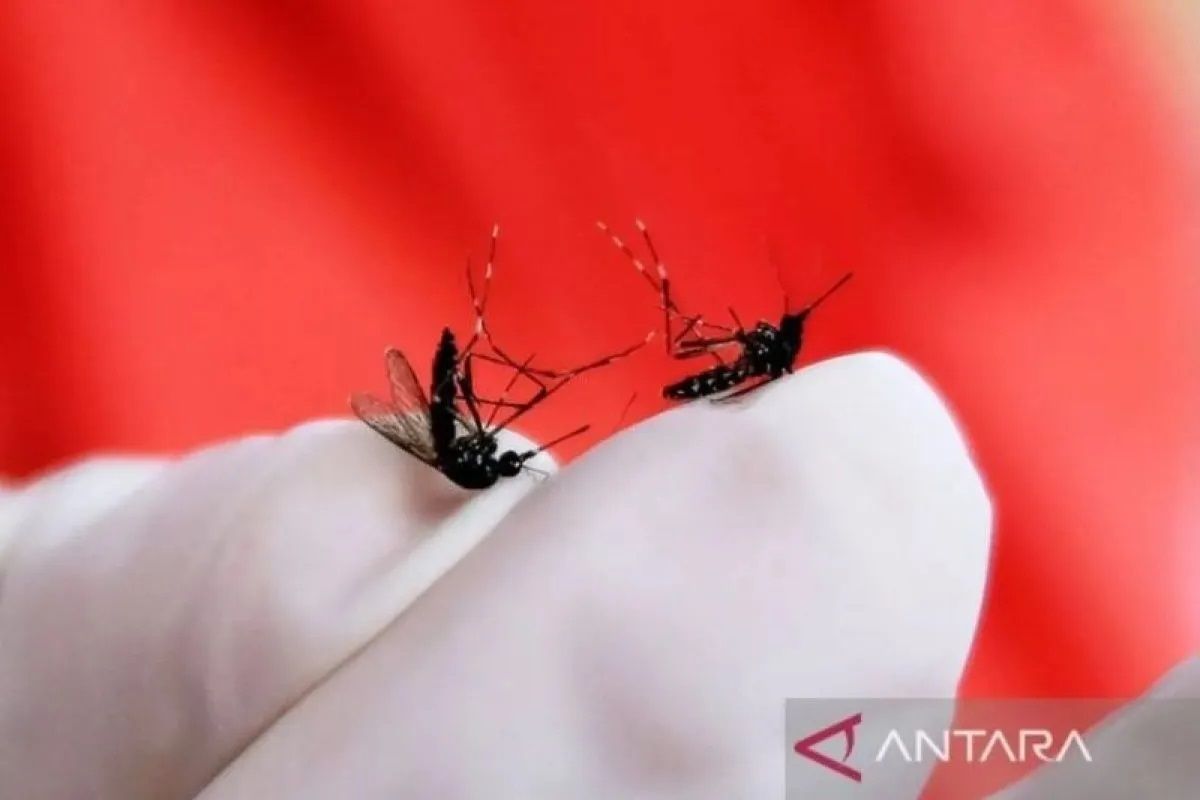 Perubahan Iklim Tingkatkan Risiko DBD, Malaria, dan Diare pada Anak