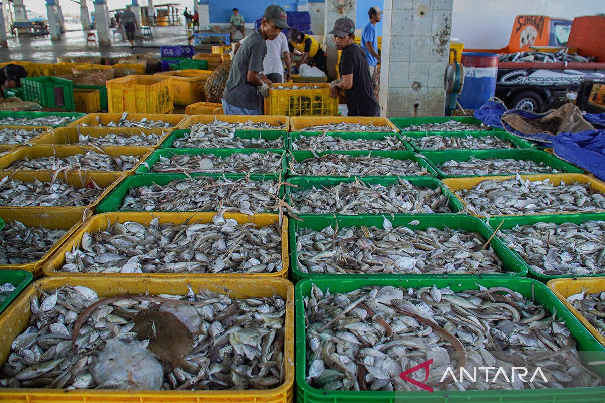 Proyeksi produksi ikan nasional