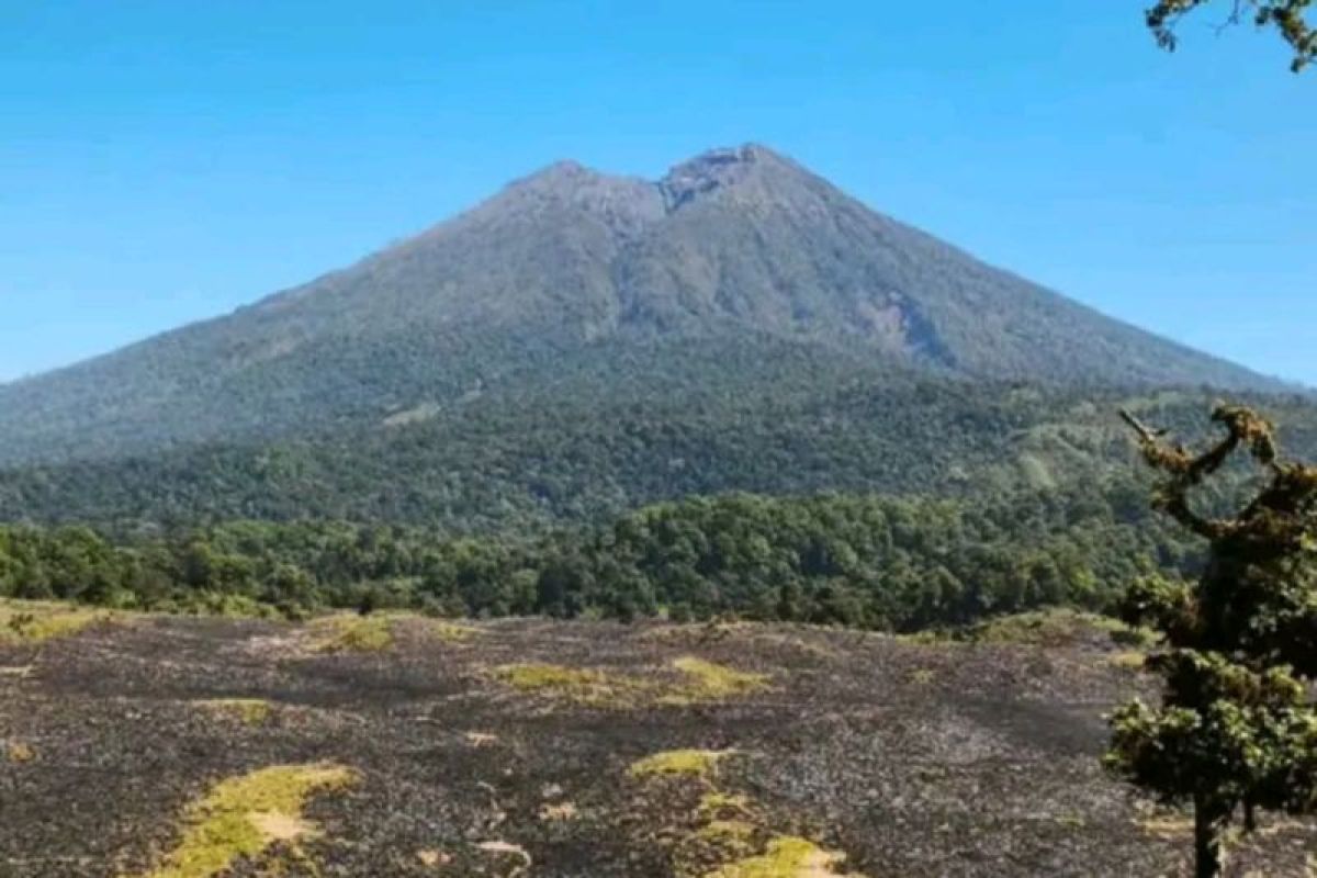 Kawasan savana di Gunung Rinjani rentan kebakaran pada musim kemarau