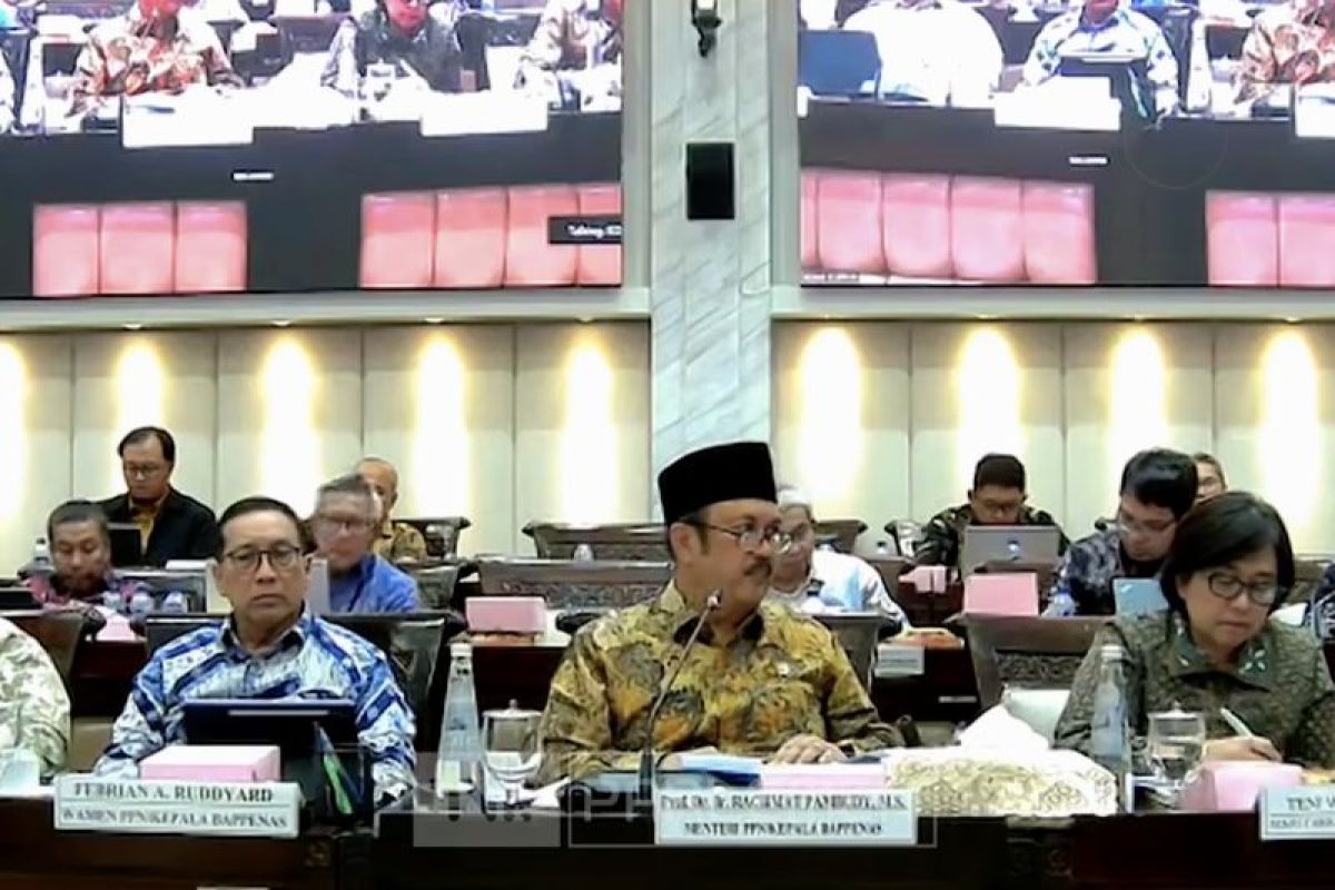 Menteri PPN: Bappenas dan Komisi XI seperti satu keping mata uang