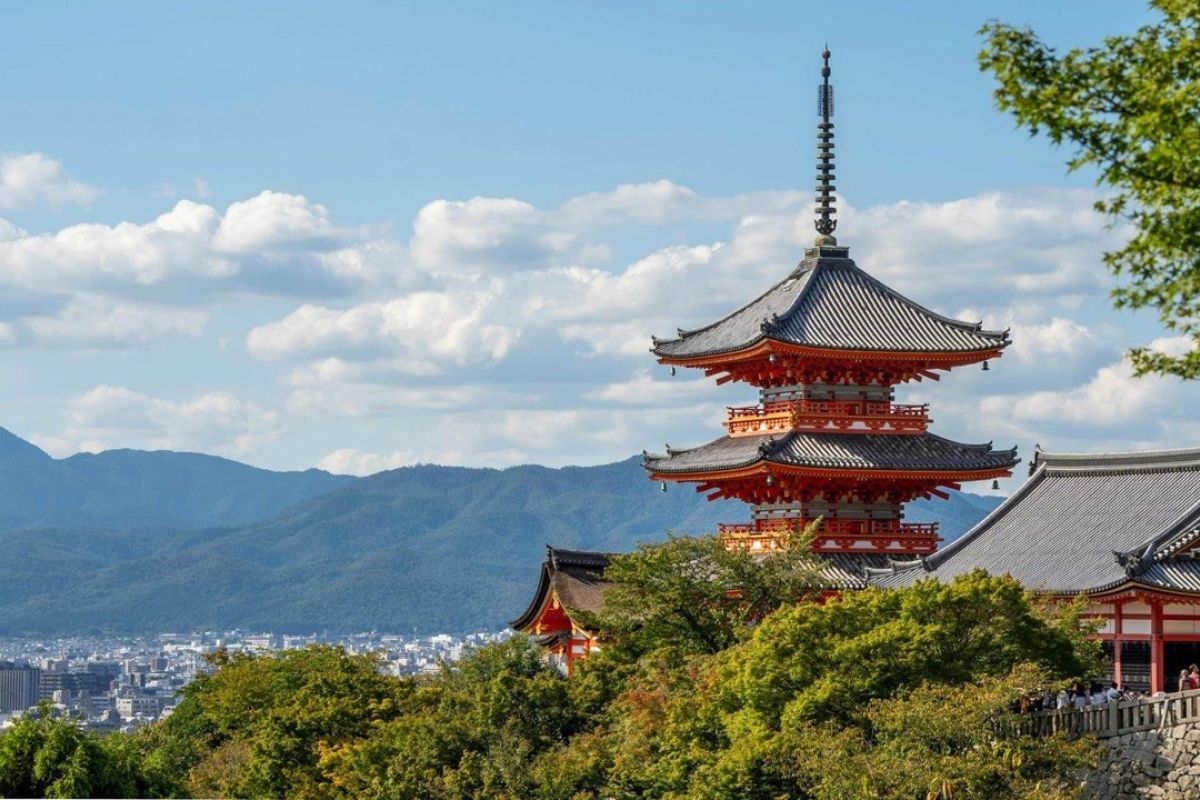 Kuil di Jepang ajak pengunjung nikmati gugurnya bunga stewartia