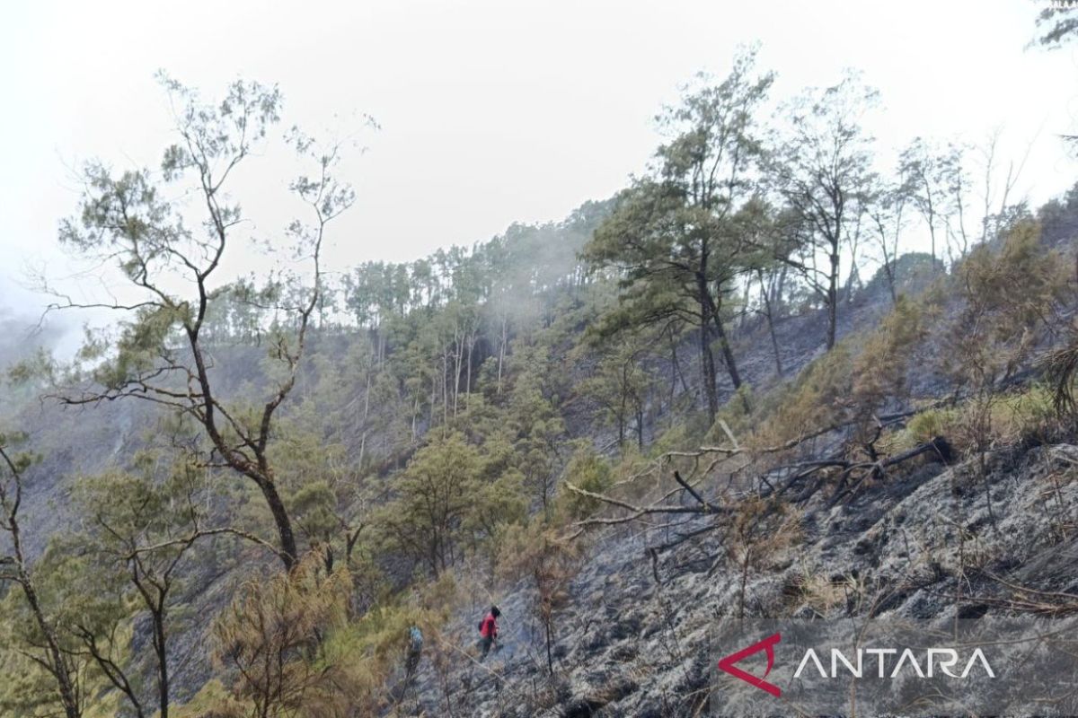 Kemenhut memadamkan kebakaran savana Bukit Sempana Lombok Timur
