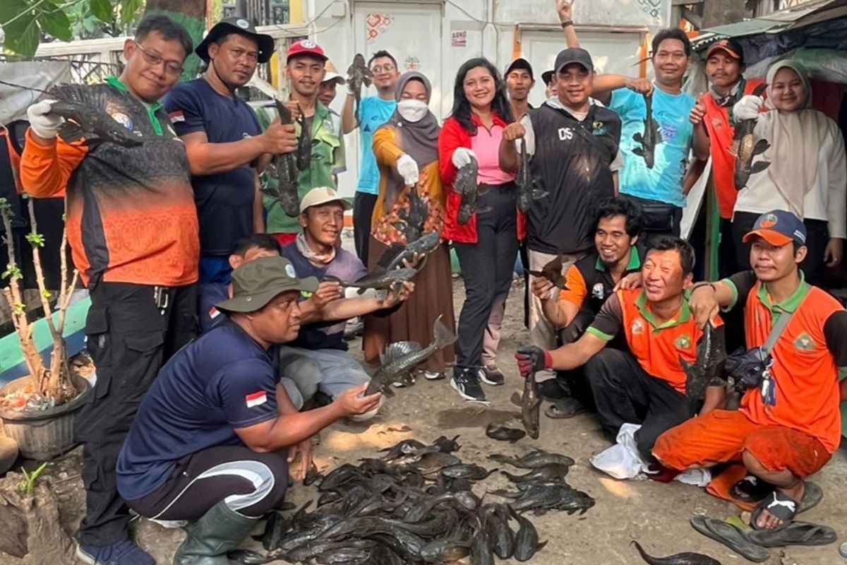 Sudin KPKP Jakbar kembali tangkap ikan sapu-sapu di Tamansari