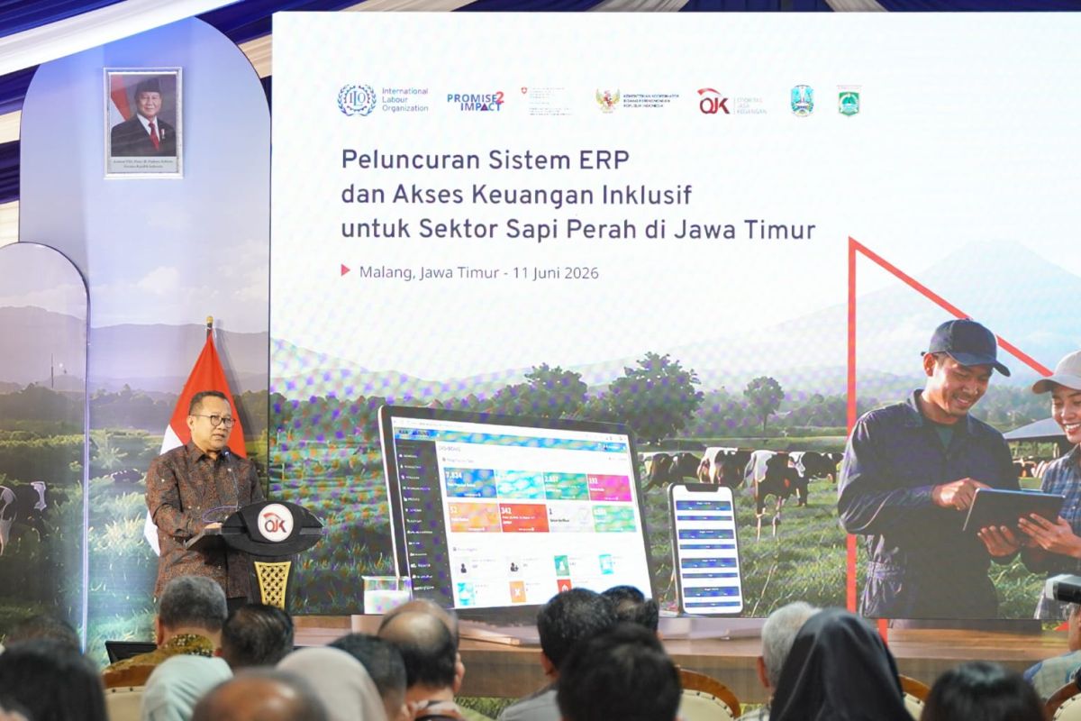 OJK dan ILO rilis sistem ERP dongkrak akses kredit peternak sapi perah