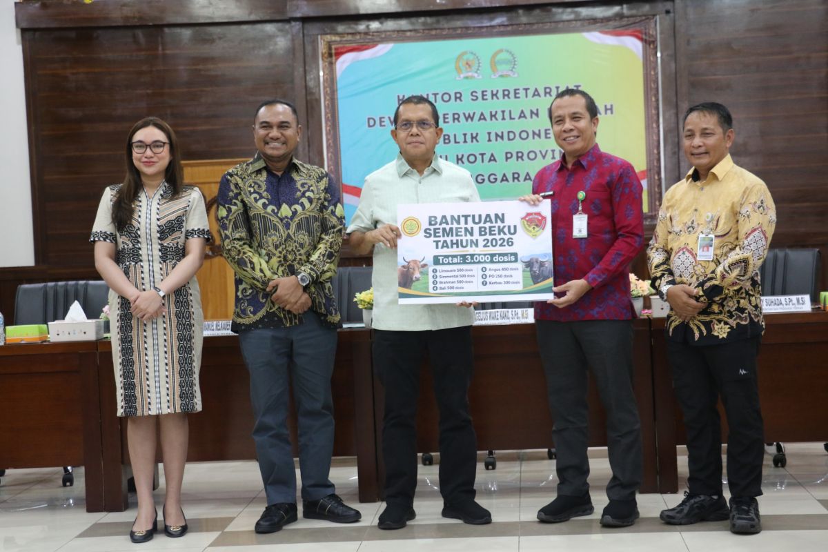 NTT terima 3.000 dosis semen beku sapi dari Kementan