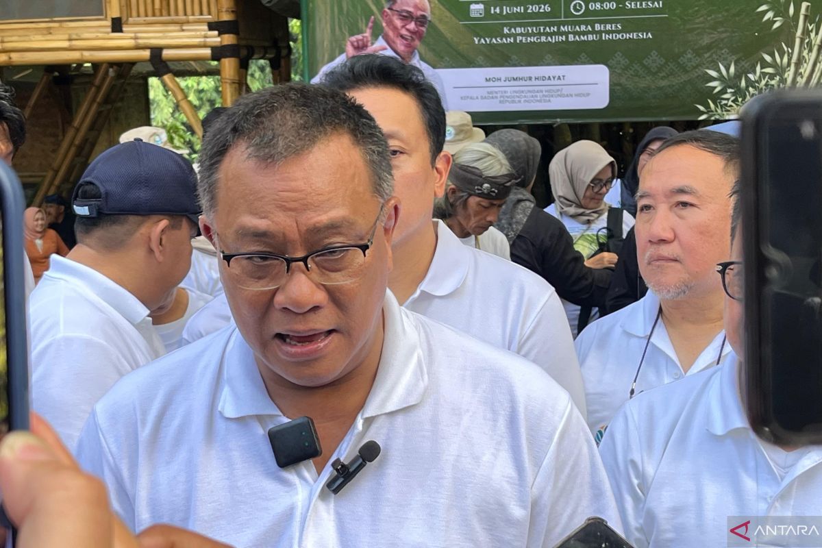 Jumhur sebut 700 ribu hektare mangrove perlu dipulihkan