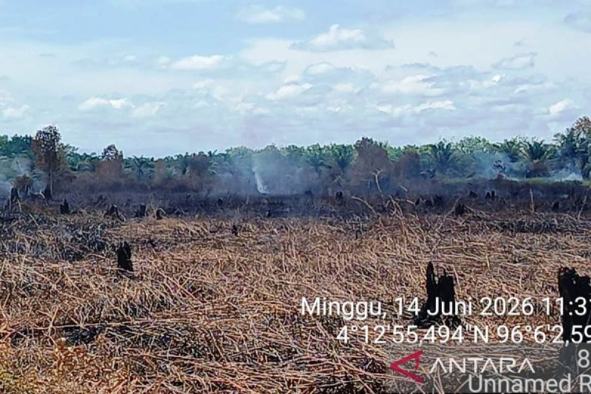 Pakar: UU PPLH buka peluang penerapan pembakaran terkendali terbatas