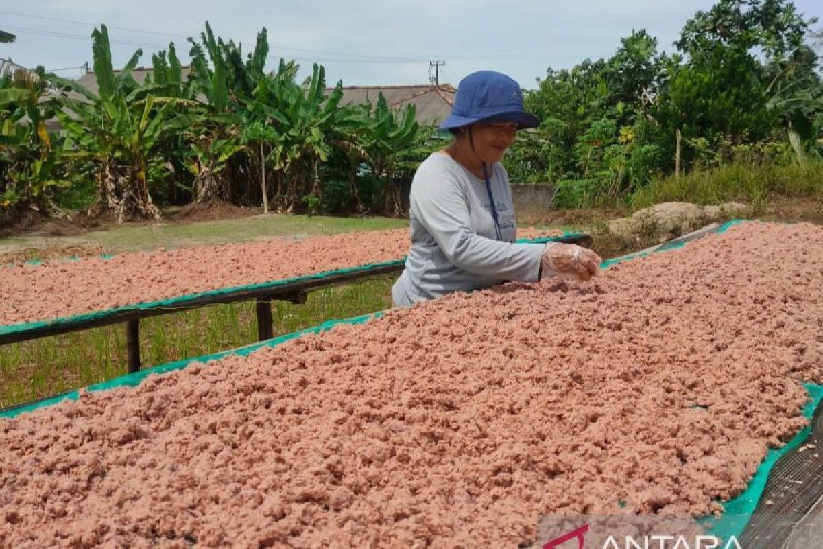 Kualitas terasi Toboali tetap dijaga di tengah krisis bahan baku
