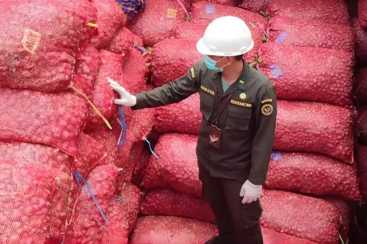Sertifikasi karantina perkuat daya saing bawang merah asal Bima