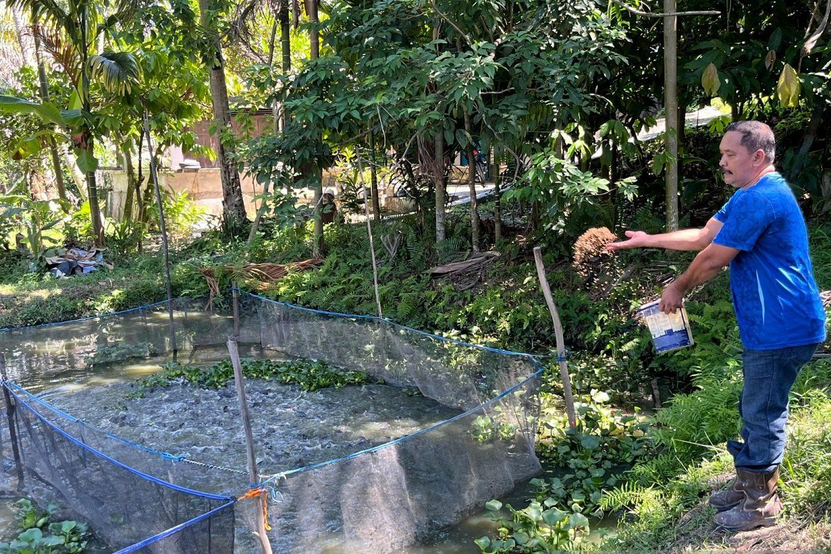 Warga Minas rajut kemandirian ekonomi lewat budidaya lele