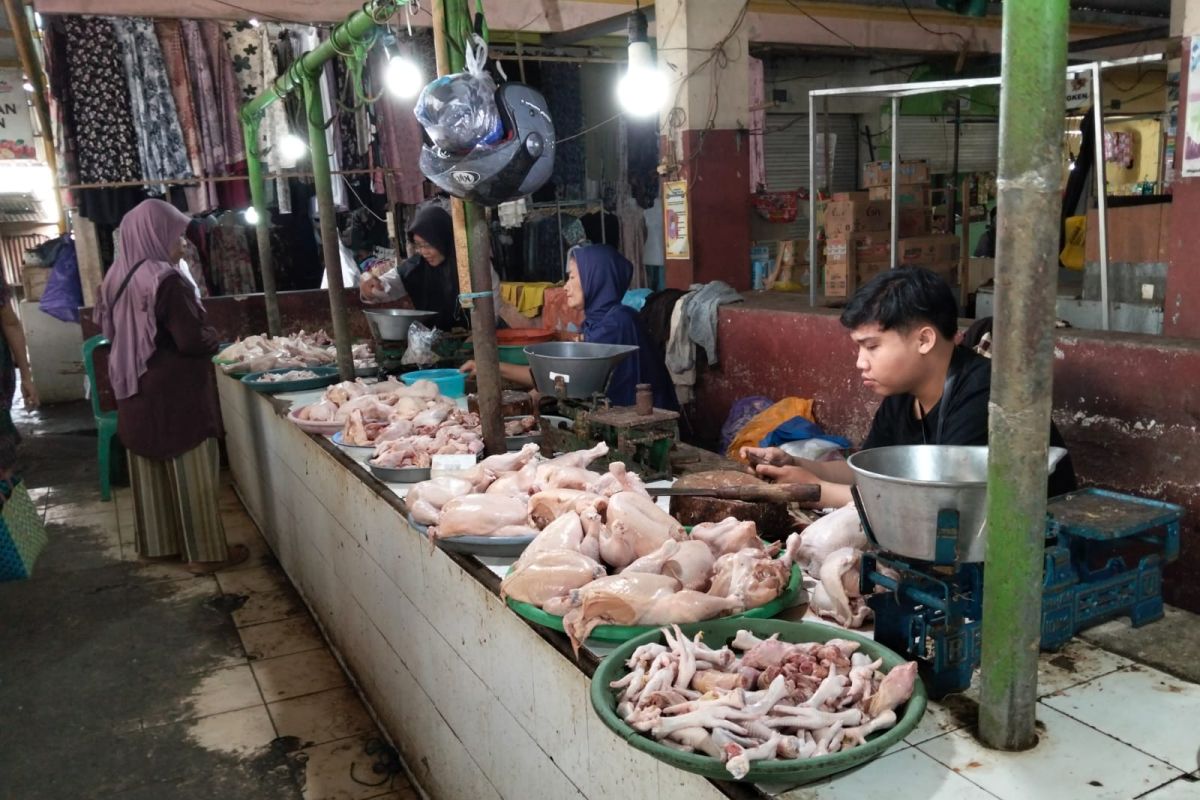 Pasokan banyak, harga daging ayam di Mataram turun