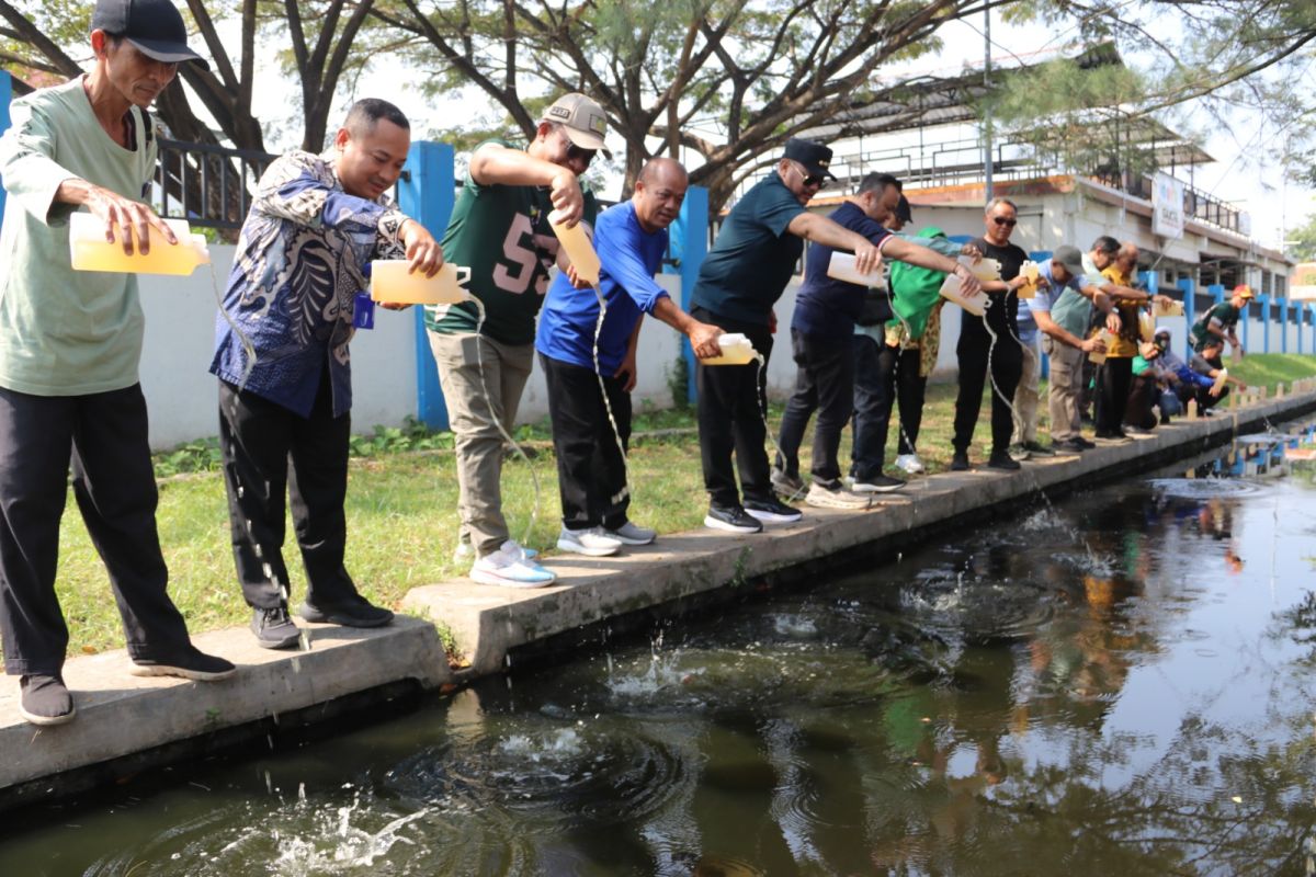 Pemkot Tegal gunakan "ecoenzim" untuk jernihkan sungai