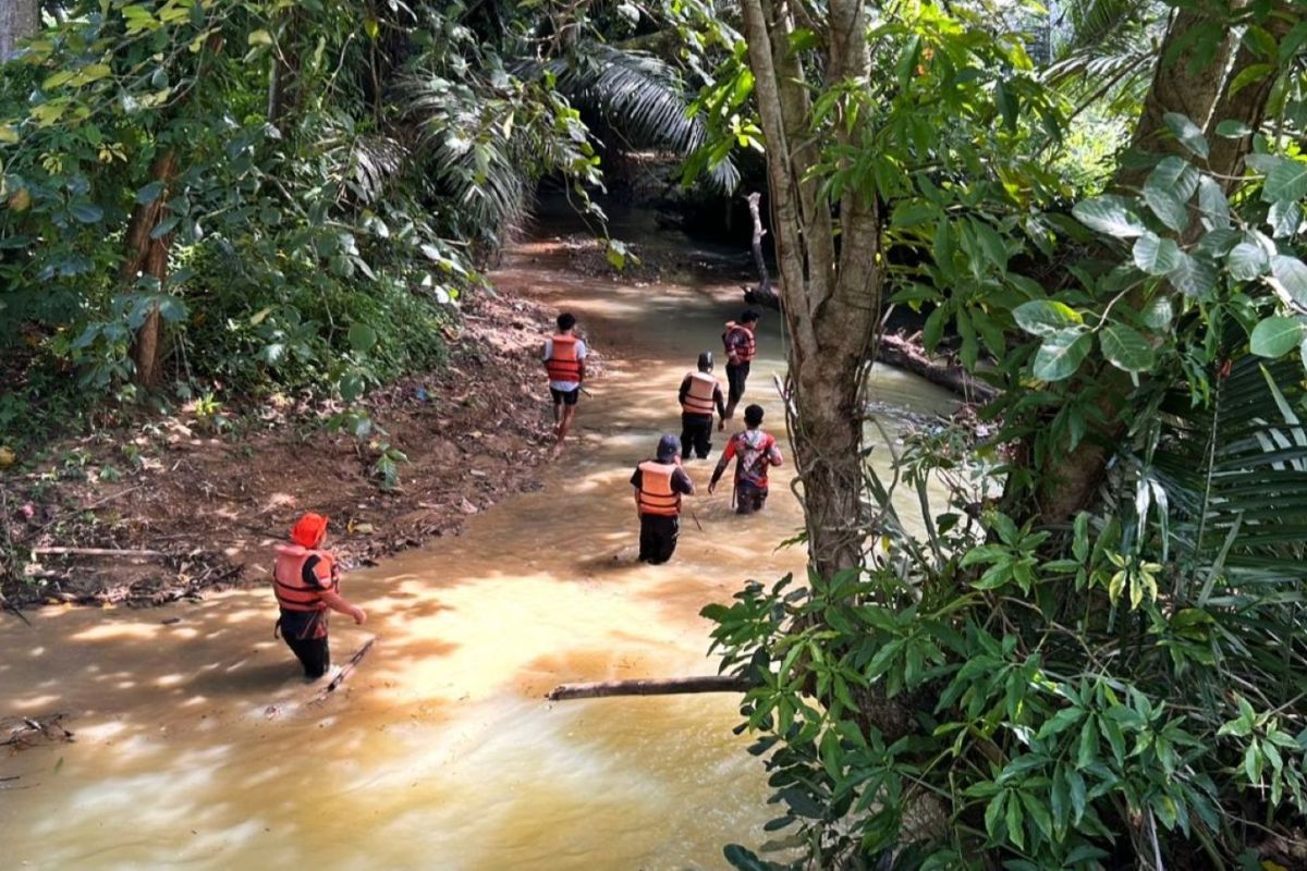 Seorang pria lansia hilang di perkebunan Lilirilau Soppeng