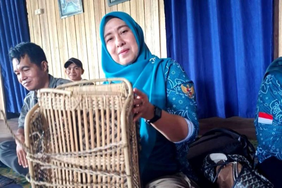 PKK Barut dorong kerajinan rotan Desa Tambaba sebagai produk unggulan daerah