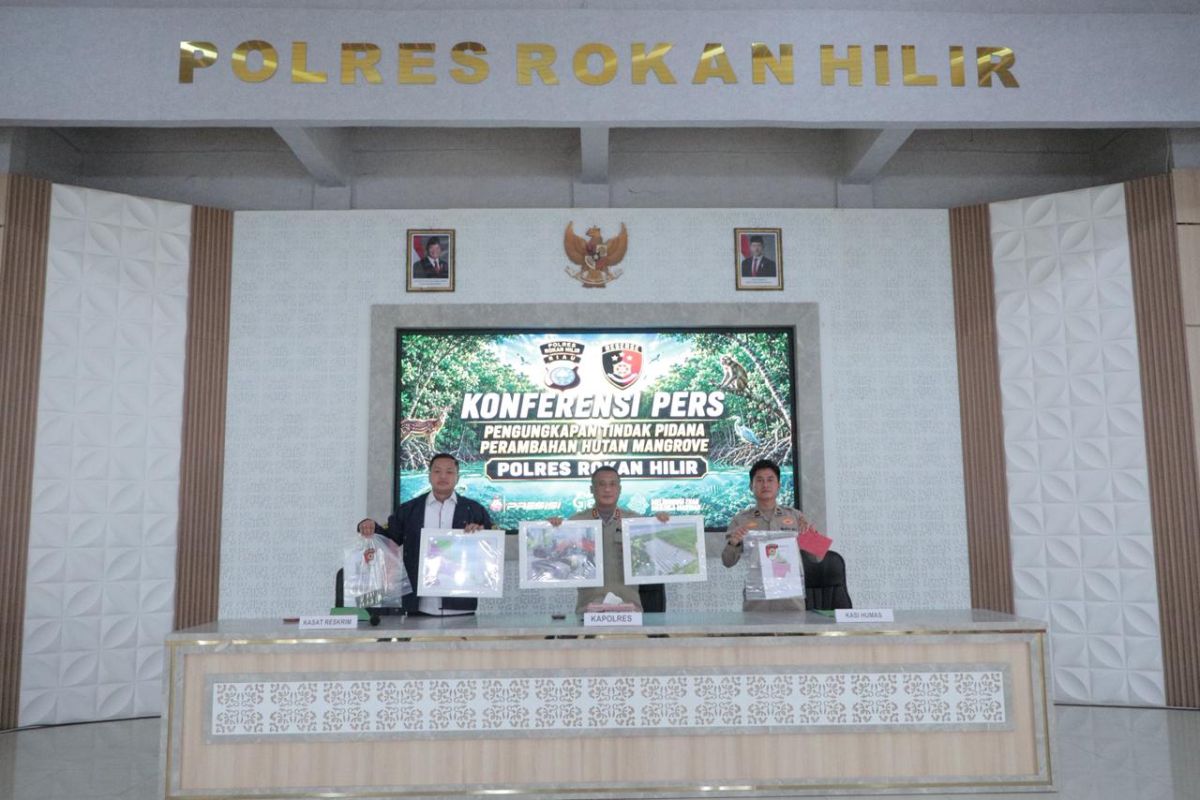 Polres Rohil Riau tangkap pelaku perambah hutan mangrove 3 hektare